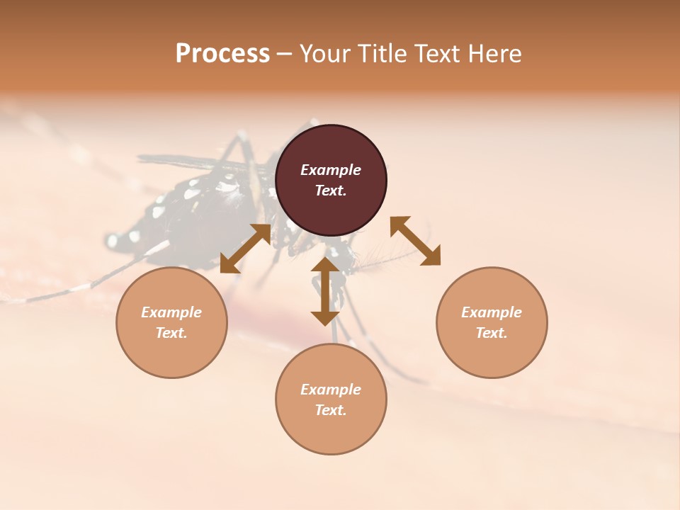 Medicine Black Aedes PowerPoint Template