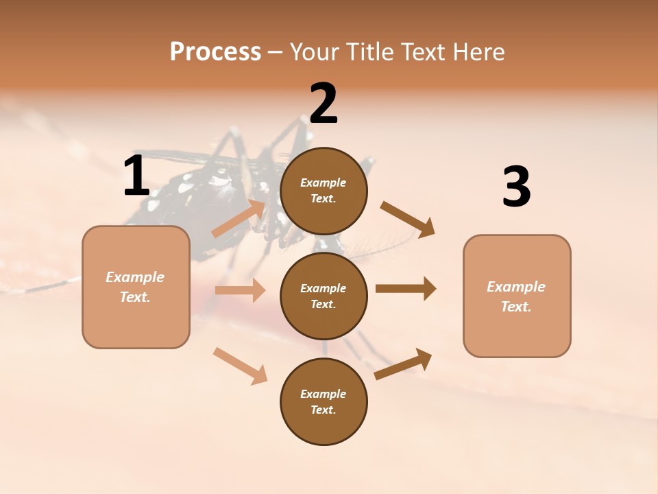 Medicine Black Aedes PowerPoint Template
