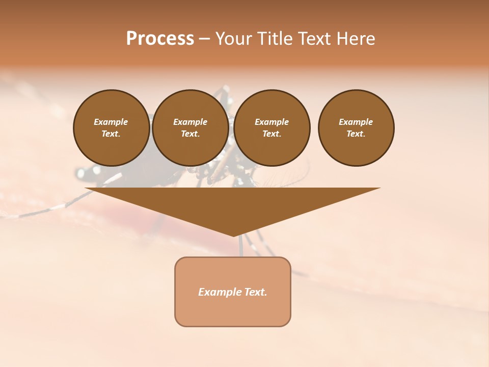 Medicine Black Aedes PowerPoint Template