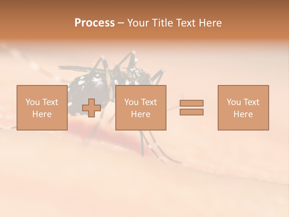Medicine Black Aedes PowerPoint Template