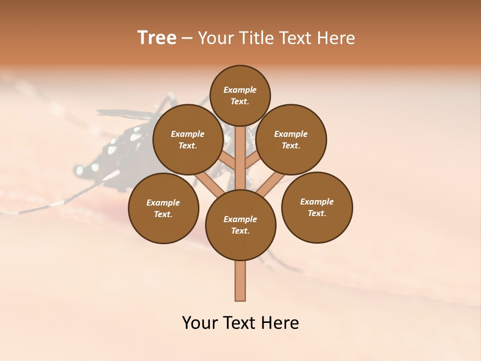 Medicine Black Aedes PowerPoint Template