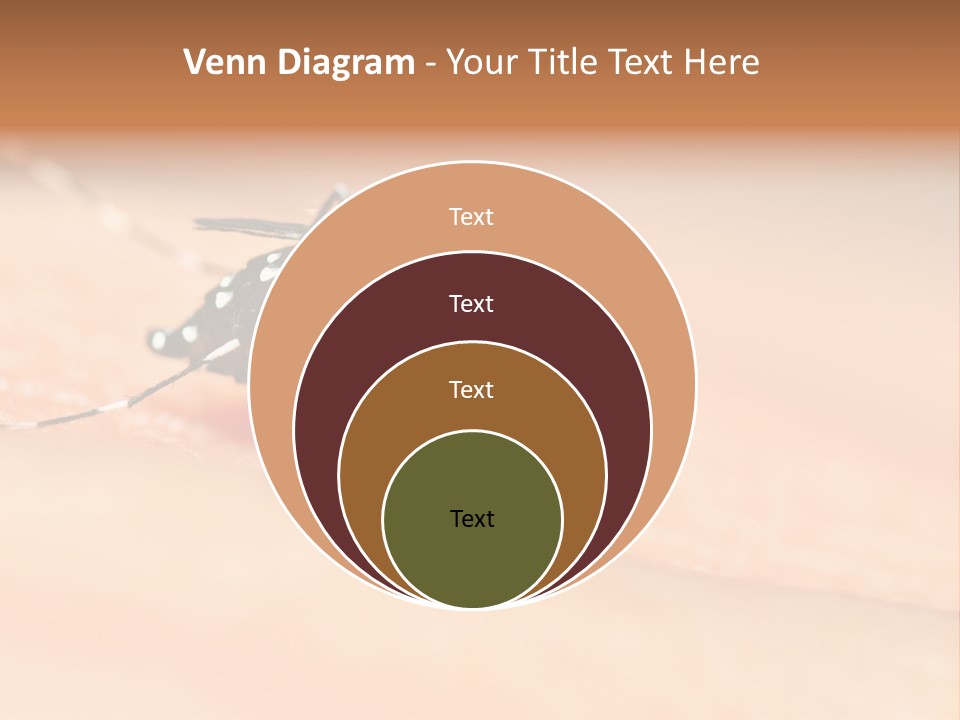 Medicine Black Aedes PowerPoint Template