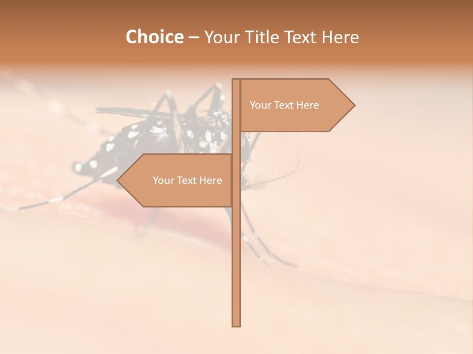 Medicine Black Aedes PowerPoint Template