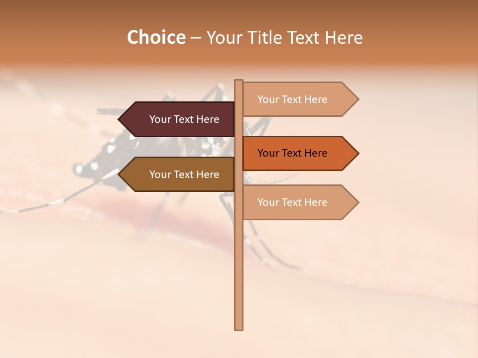 Medicine Black Aedes PowerPoint Template