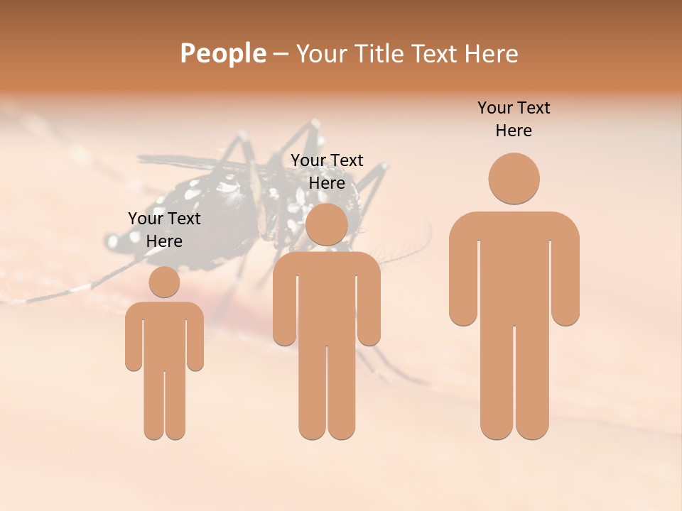 Medicine Black Aedes PowerPoint Template