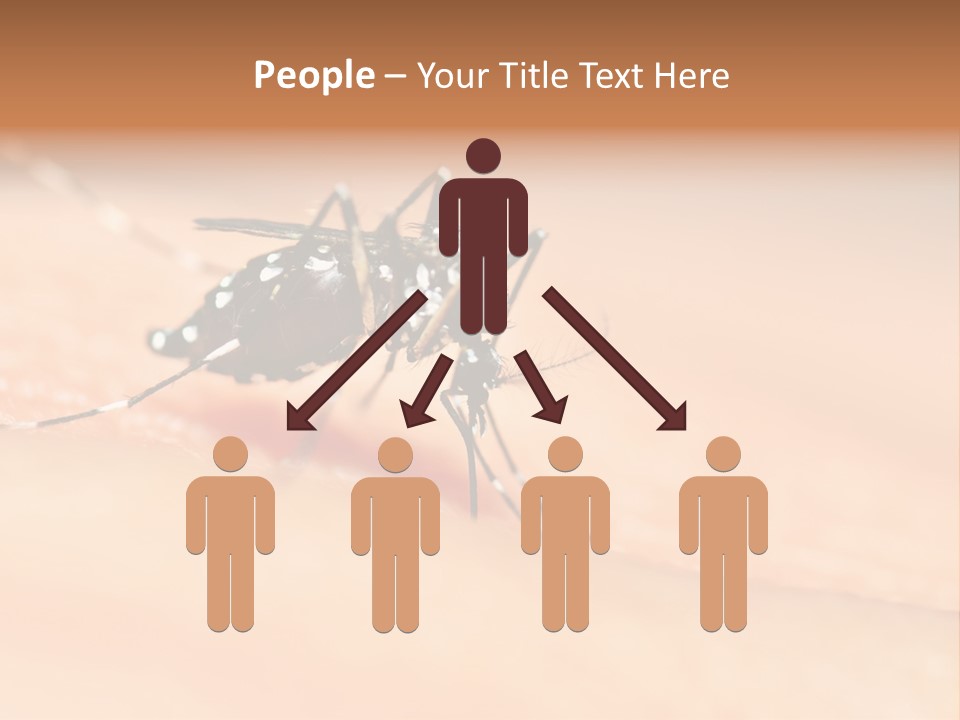 Medicine Black Aedes PowerPoint Template