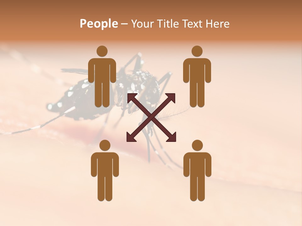 Medicine Black Aedes PowerPoint Template