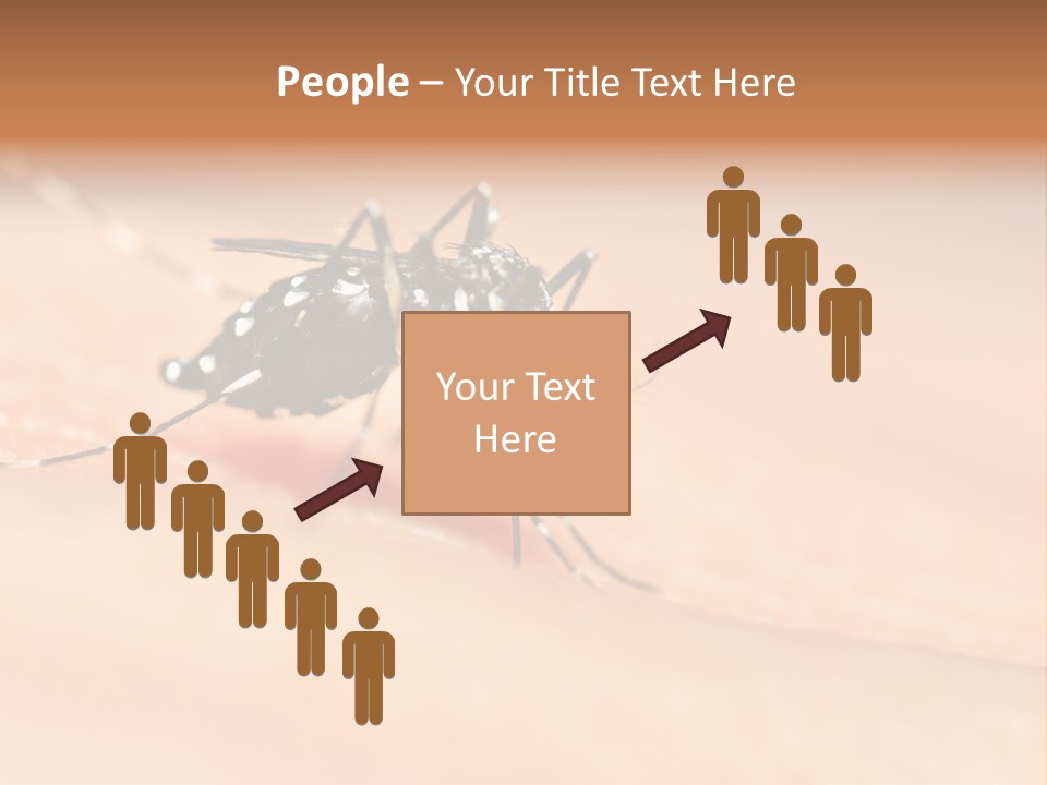 Medicine Black Aedes PowerPoint Template