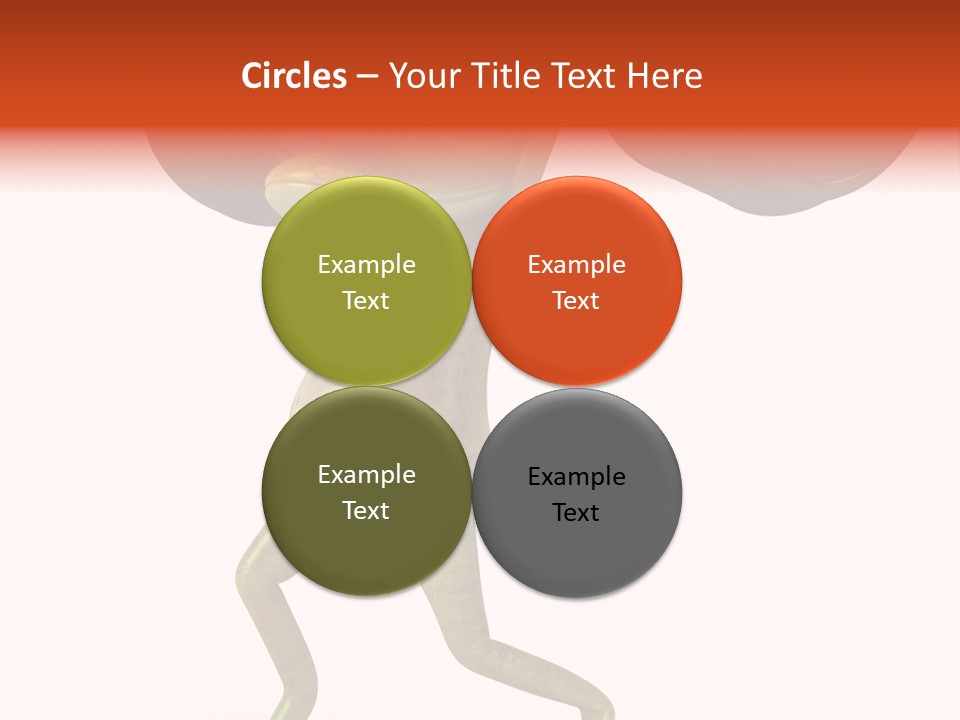 Environment Tropical Amphibian PowerPoint Template