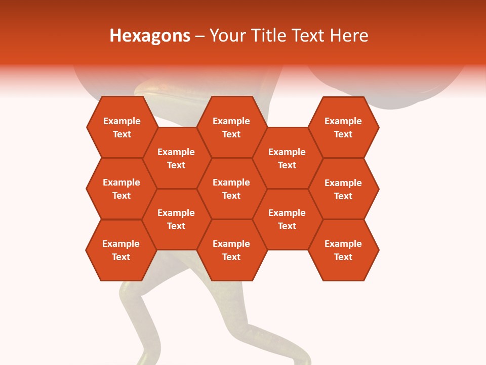 Environment Tropical Amphibian PowerPoint Template