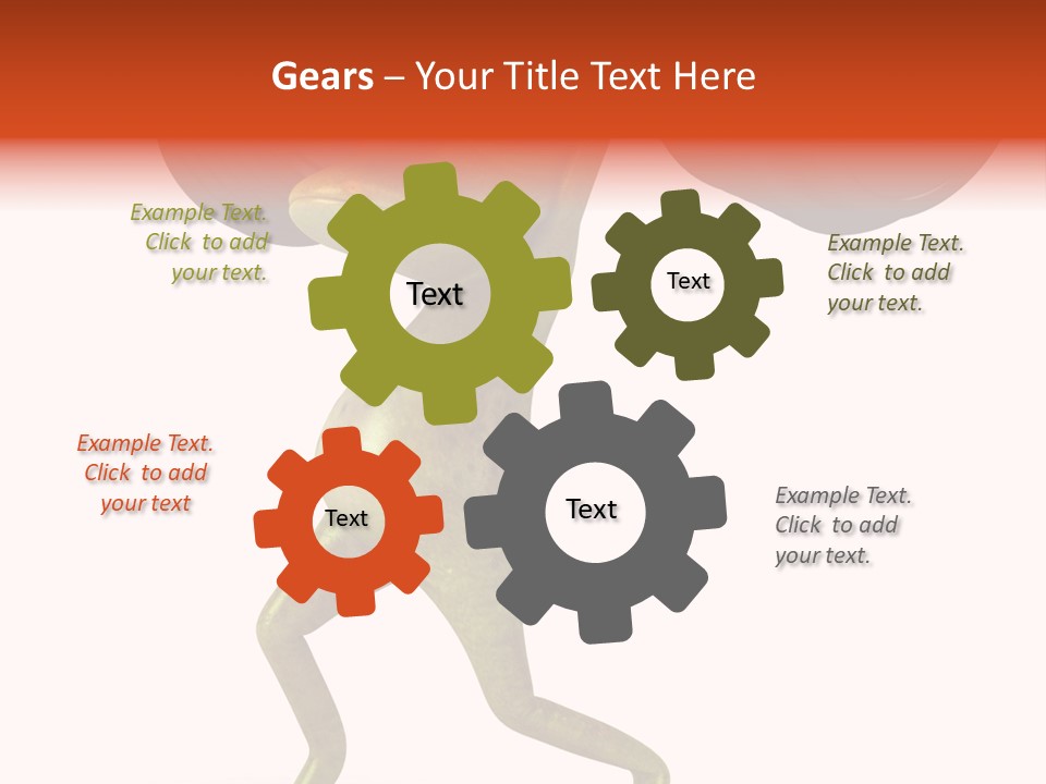 Environment Tropical Amphibian PowerPoint Template