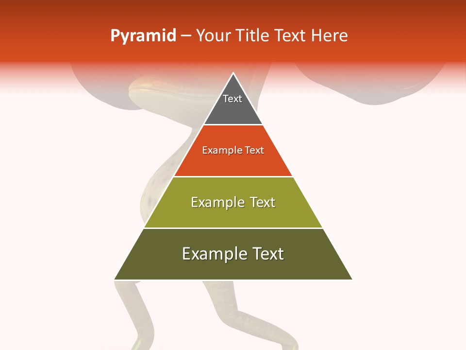 Environment Tropical Amphibian PowerPoint Template