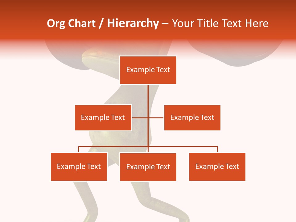 Environment Tropical Amphibian PowerPoint Template