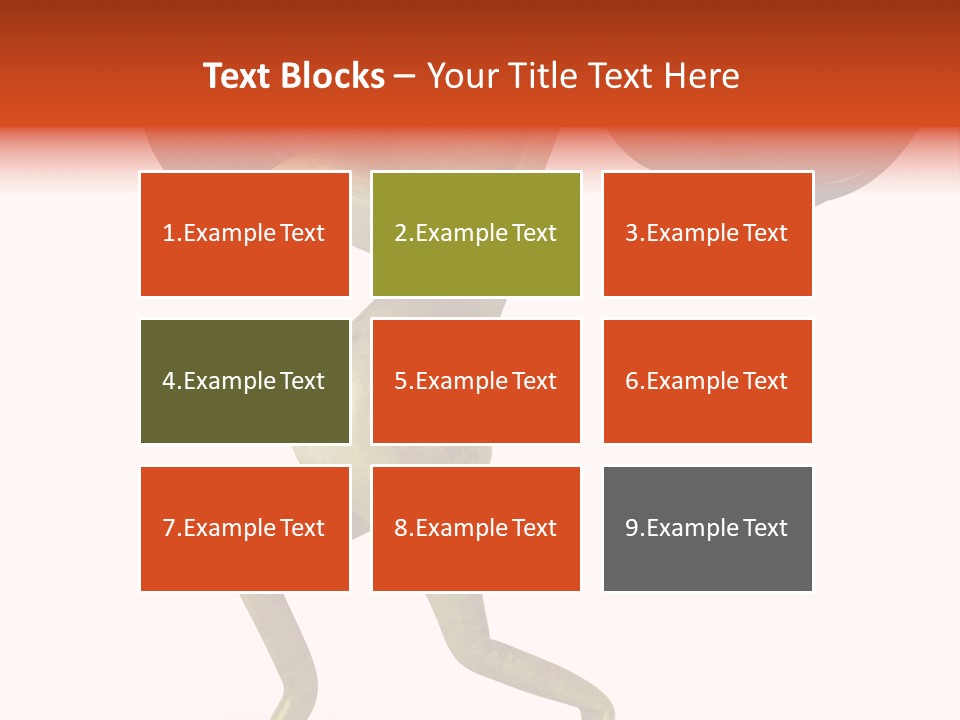 Environment Tropical Amphibian PowerPoint Template