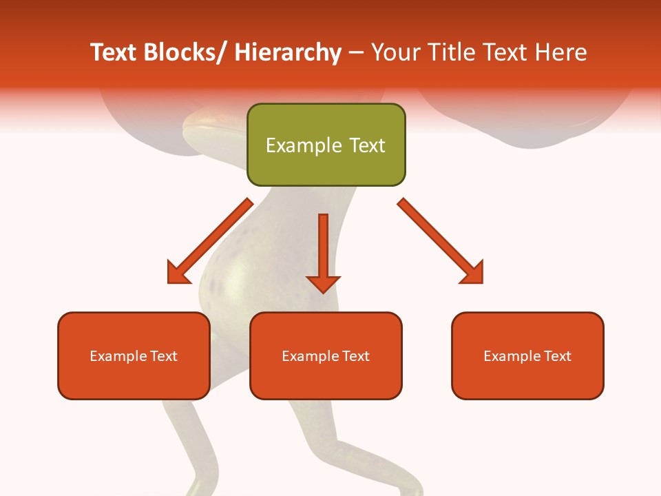Environment Tropical Amphibian PowerPoint Template