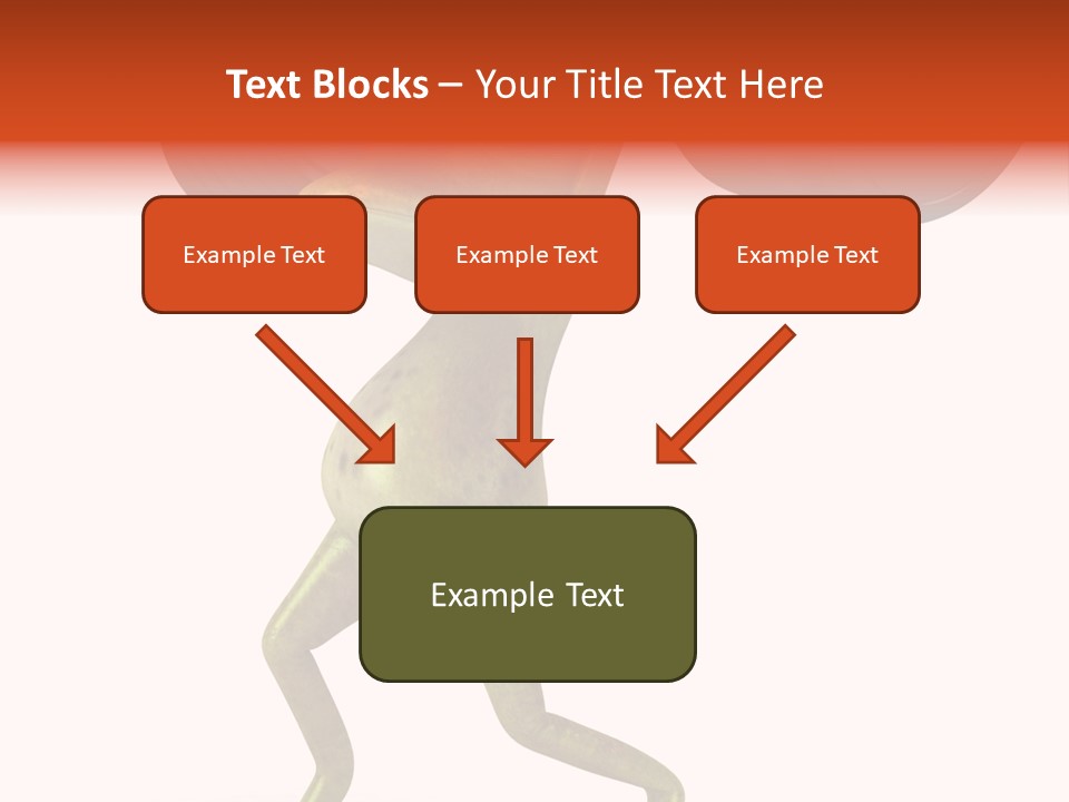 Environment Tropical Amphibian PowerPoint Template