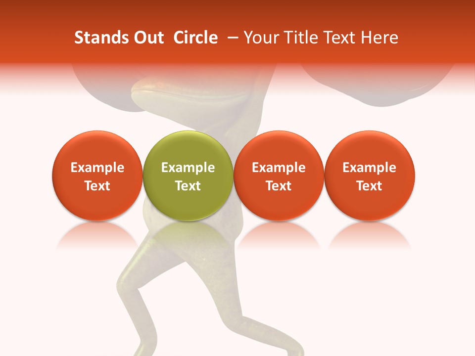 Environment Tropical Amphibian PowerPoint Template