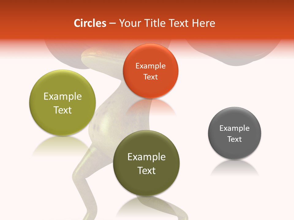 Environment Tropical Amphibian PowerPoint Template