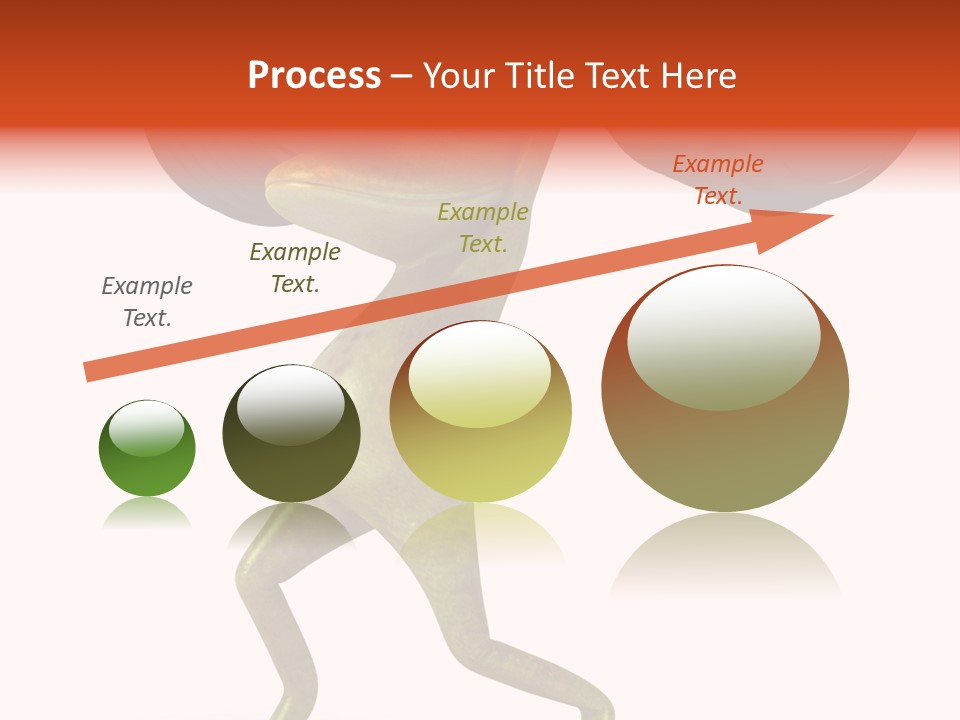 Environment Tropical Amphibian PowerPoint Template