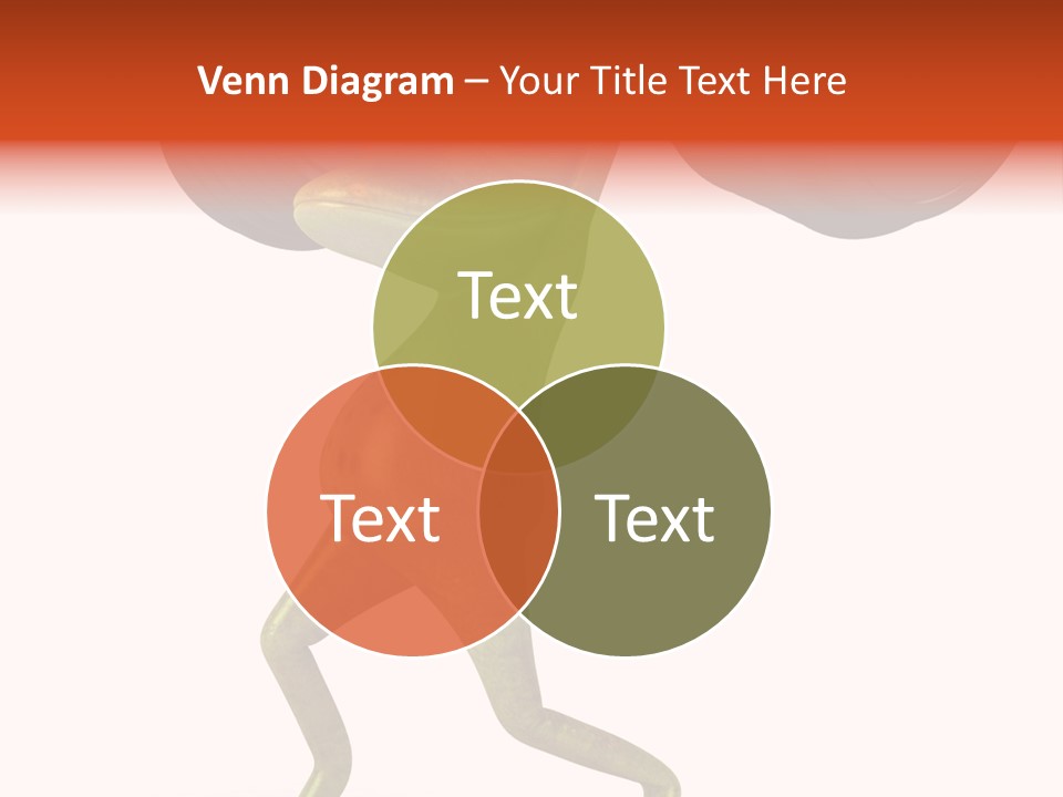 Environment Tropical Amphibian PowerPoint Template