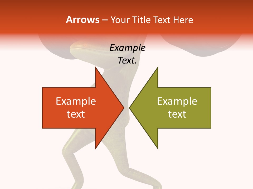 Environment Tropical Amphibian PowerPoint Template