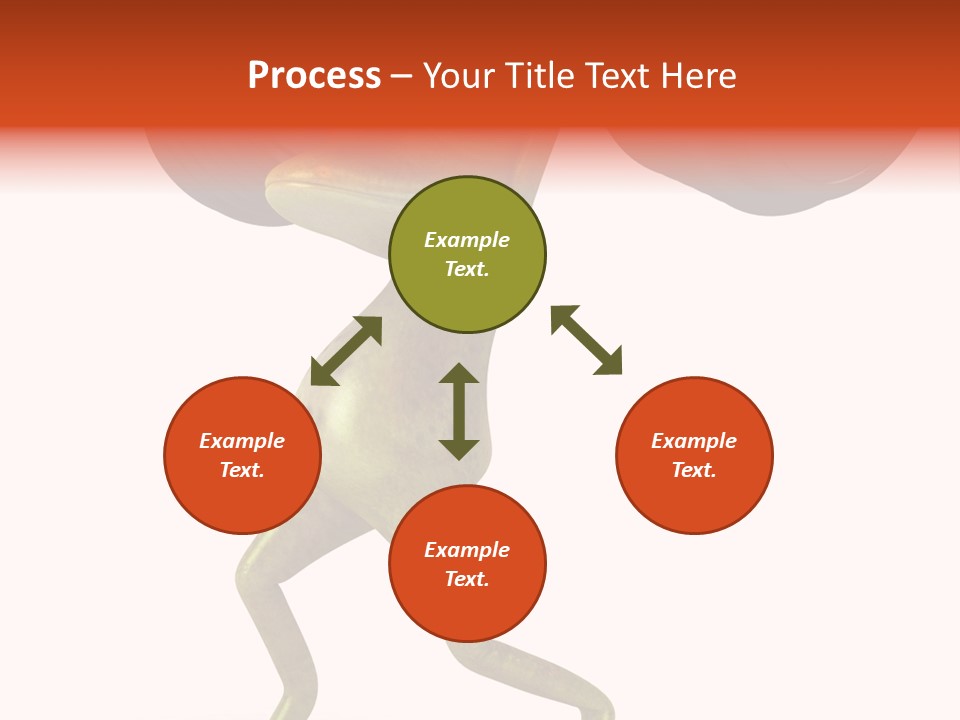 Environment Tropical Amphibian PowerPoint Template