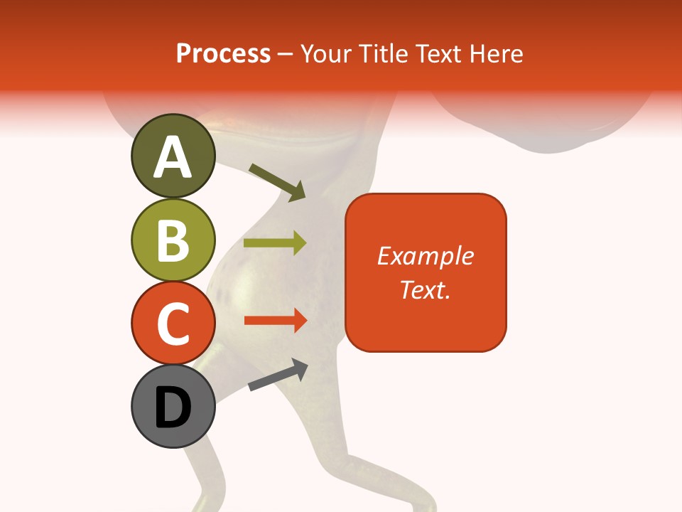 Environment Tropical Amphibian PowerPoint Template