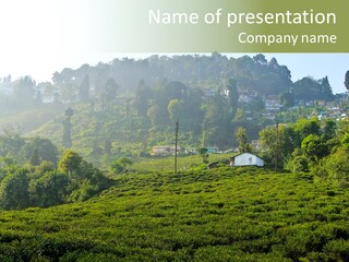 Fresh Agricultural Scene PowerPoint Template