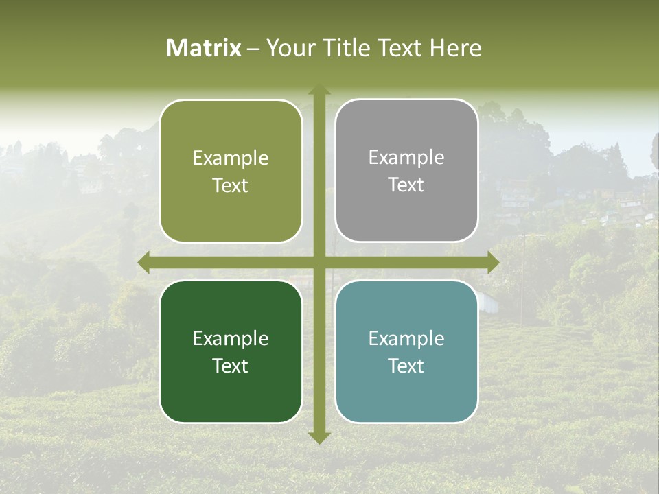 Fresh Agricultural Scene PowerPoint Template