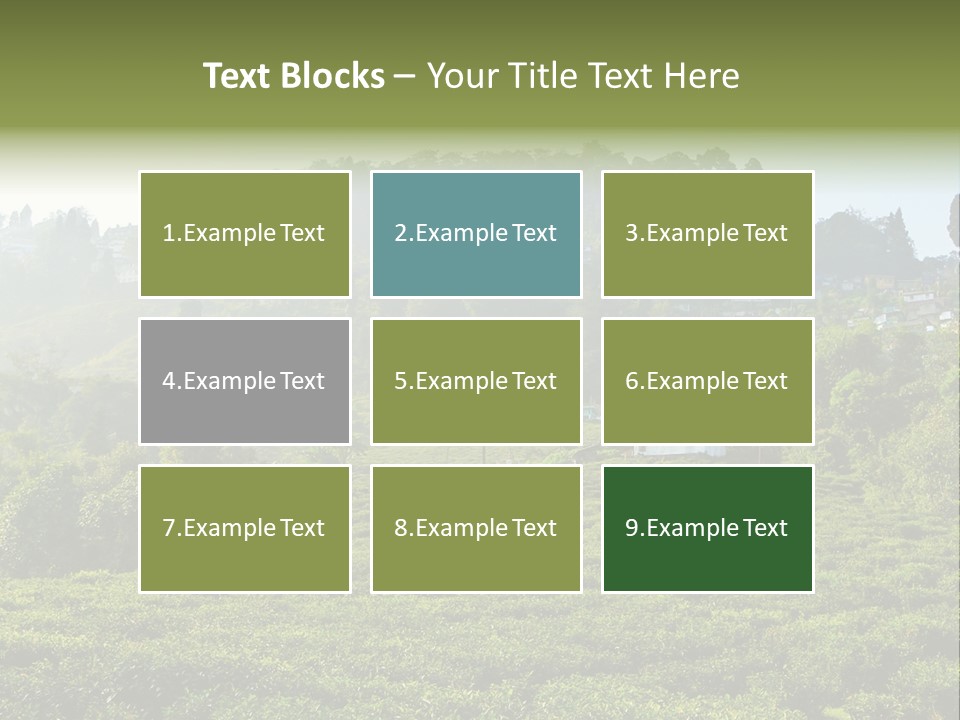 Fresh Agricultural Scene PowerPoint Template