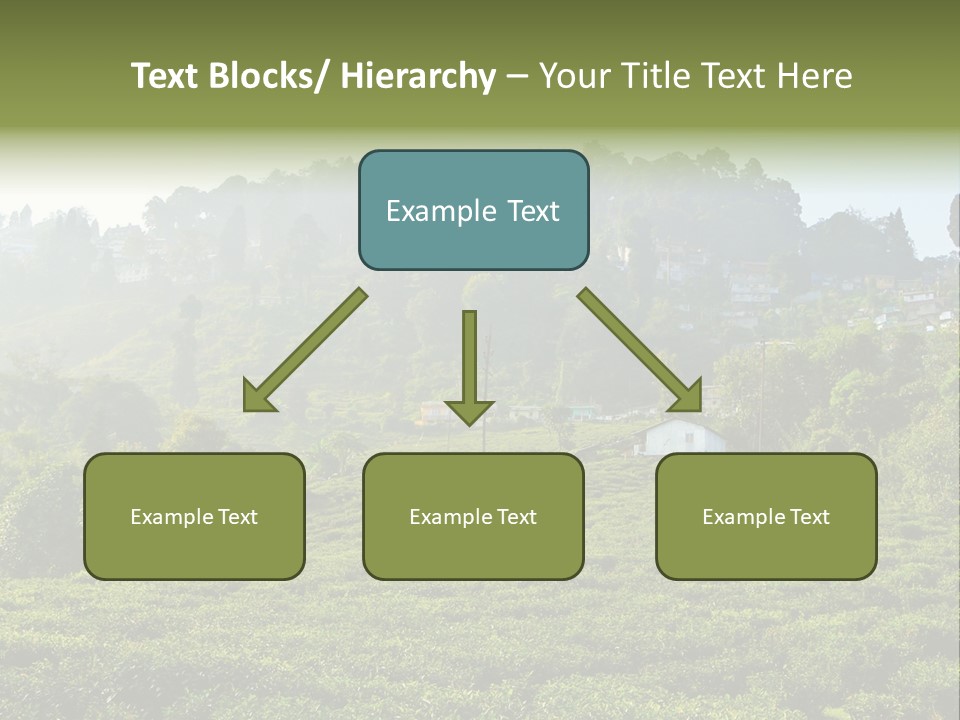 Fresh Agricultural Scene PowerPoint Template