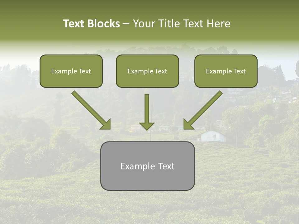 Fresh Agricultural Scene PowerPoint Template