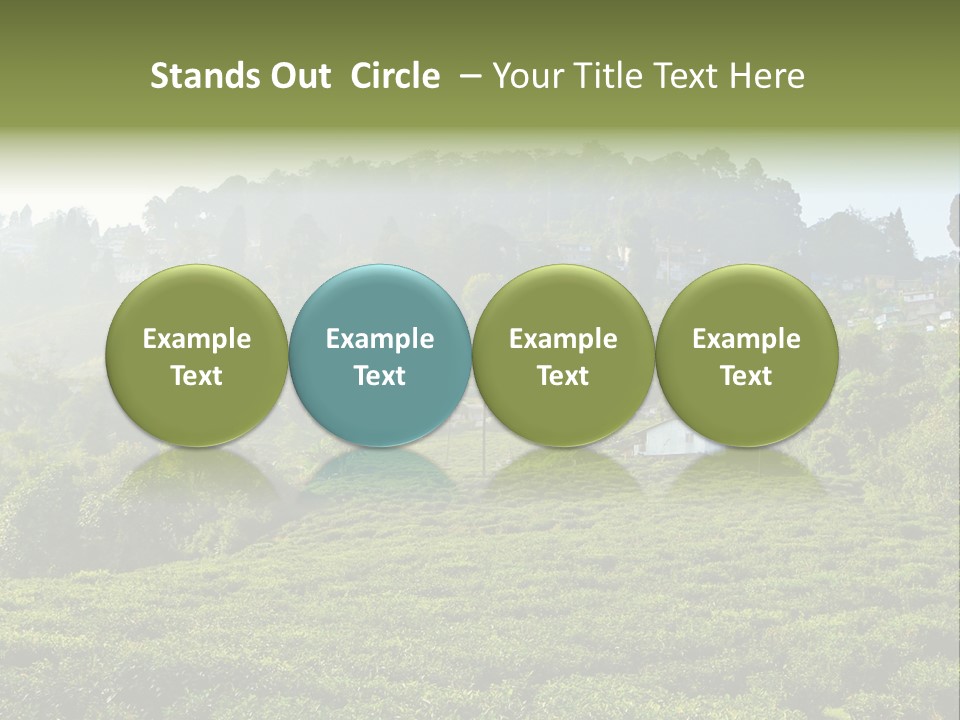 Fresh Agricultural Scene PowerPoint Template