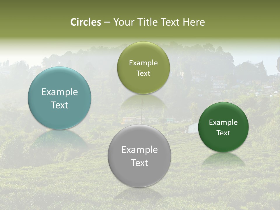 Fresh Agricultural Scene PowerPoint Template