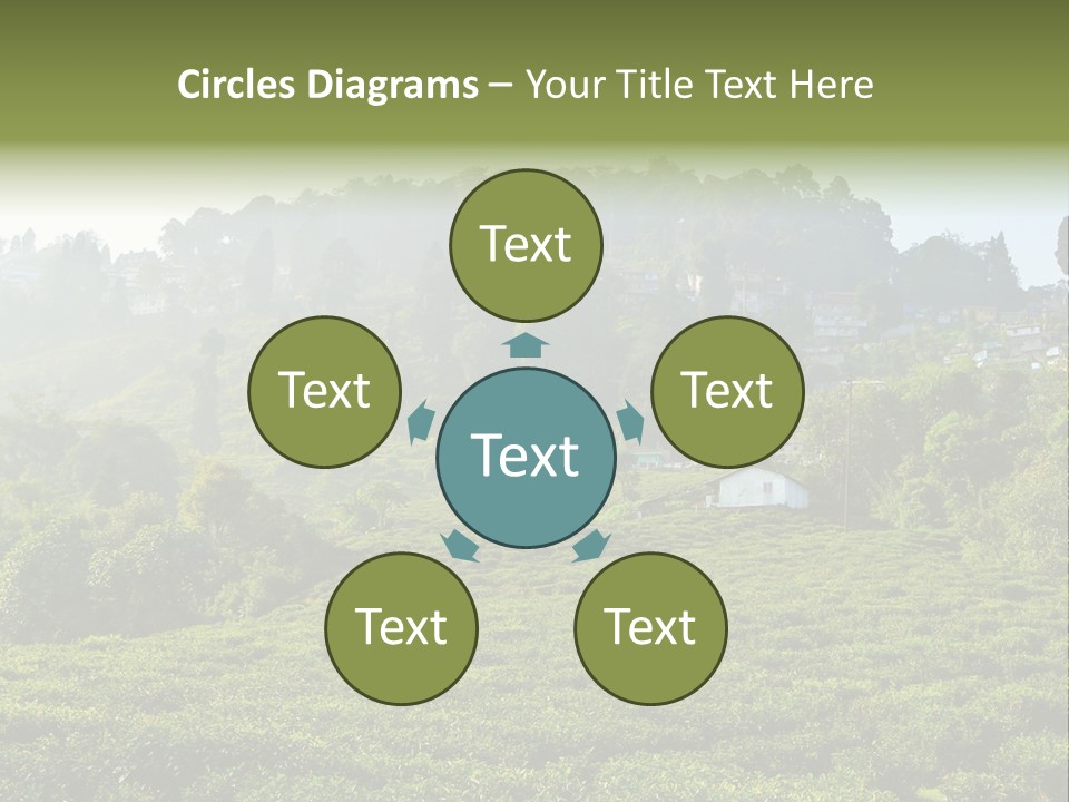 Fresh Agricultural Scene PowerPoint Template