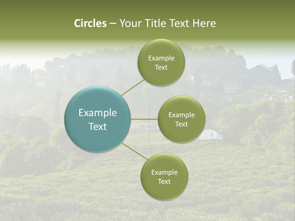 Fresh Agricultural Scene PowerPoint Template