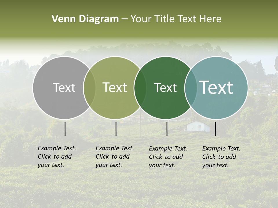 Fresh Agricultural Scene PowerPoint Template