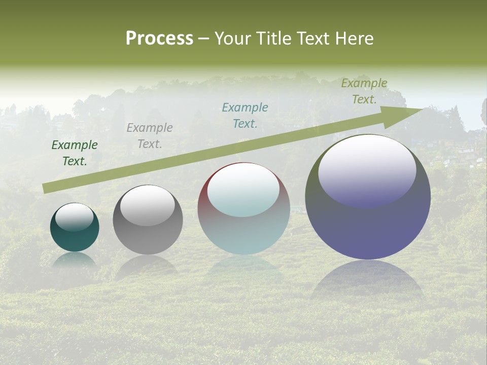 Fresh Agricultural Scene PowerPoint Template