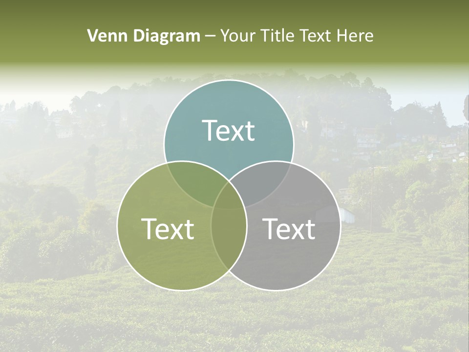 Fresh Agricultural Scene PowerPoint Template