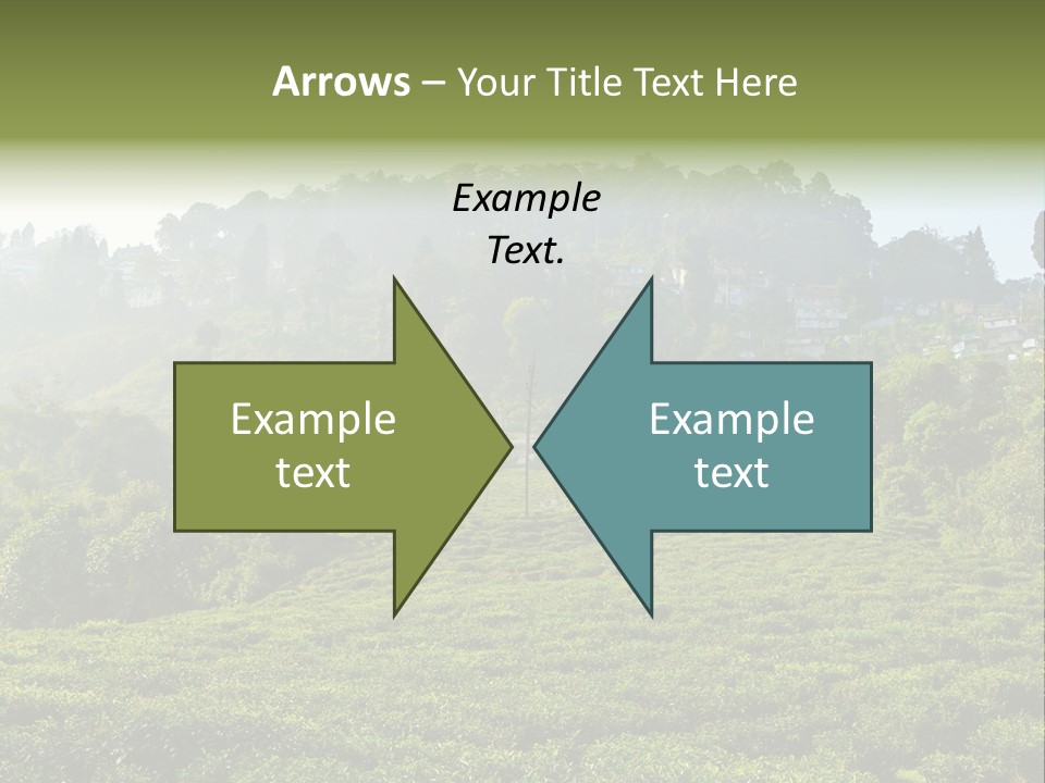 Fresh Agricultural Scene PowerPoint Template