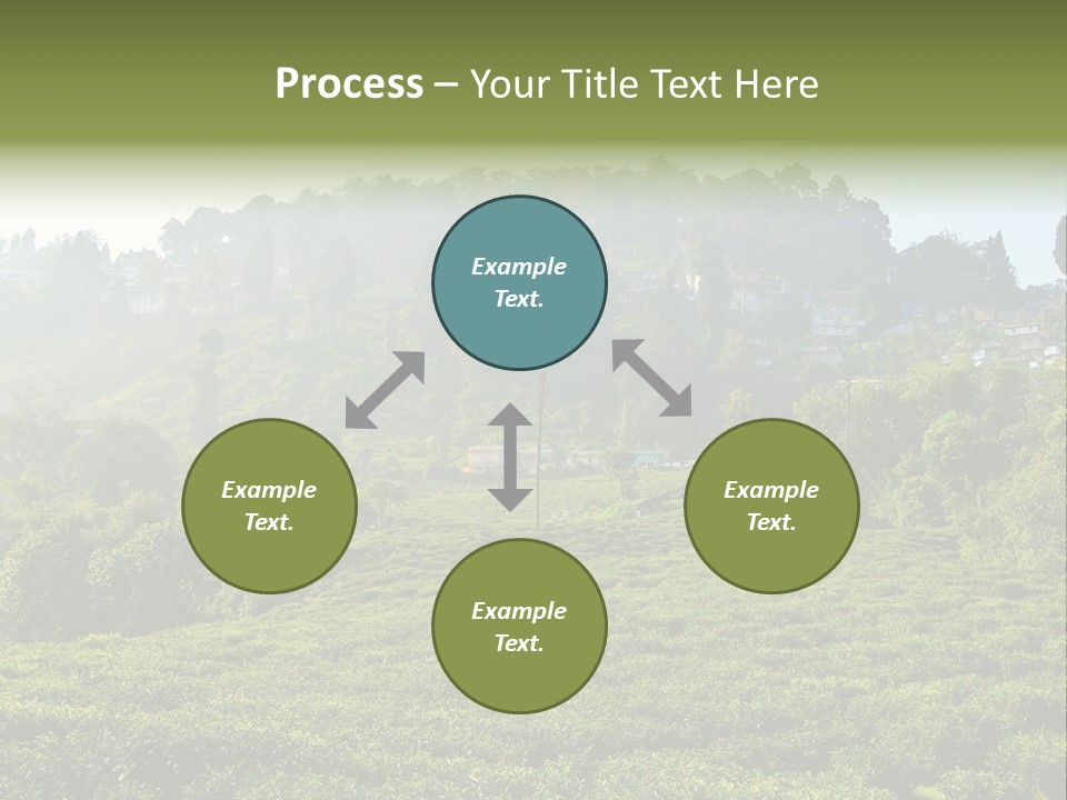Fresh Agricultural Scene PowerPoint Template