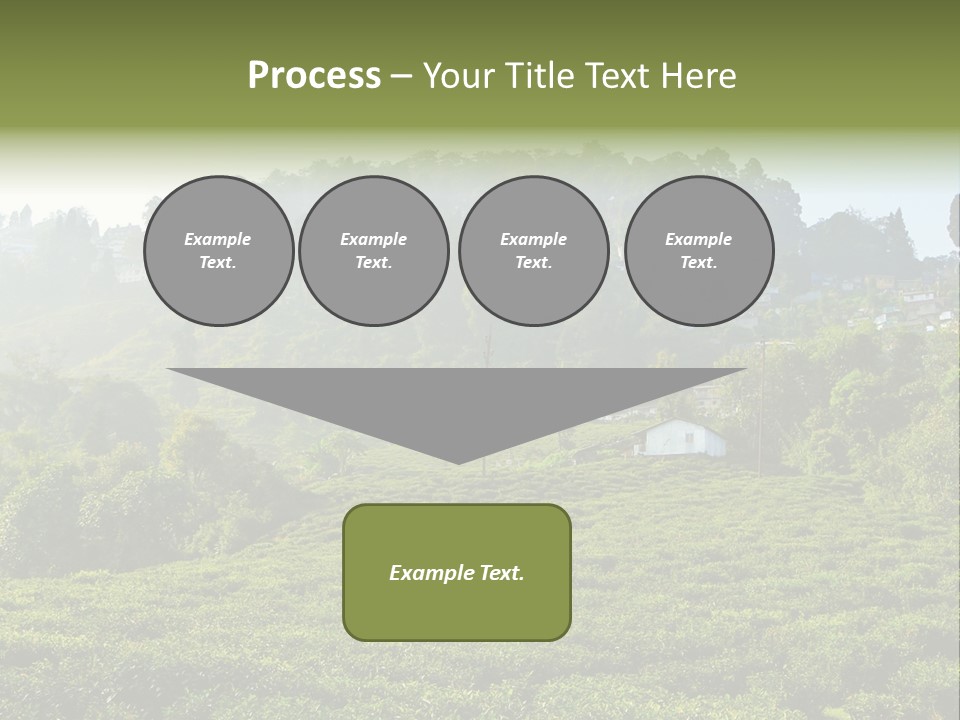 Fresh Agricultural Scene PowerPoint Template