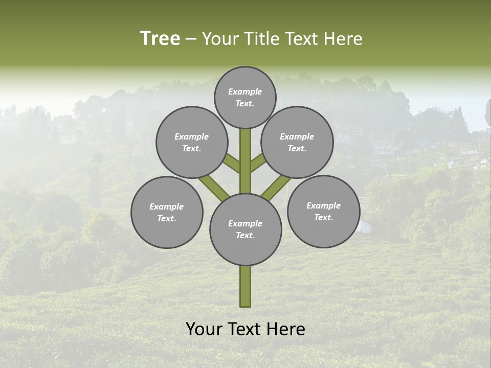 Fresh Agricultural Scene PowerPoint Template