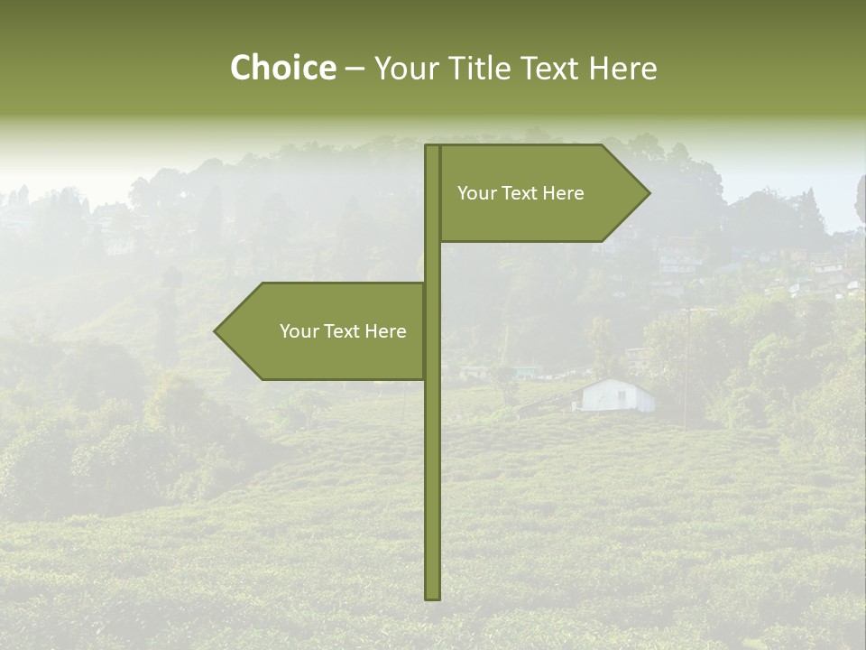 Fresh Agricultural Scene PowerPoint Template