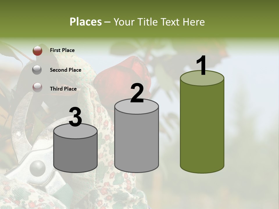 Rose Prune Red PowerPoint Template