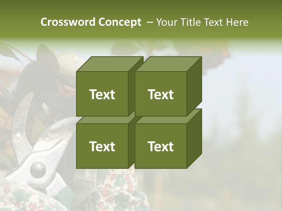 Rose Prune Red PowerPoint Template