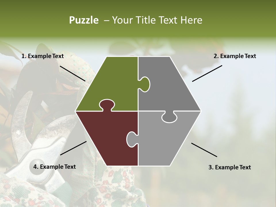 Rose Prune Red PowerPoint Template