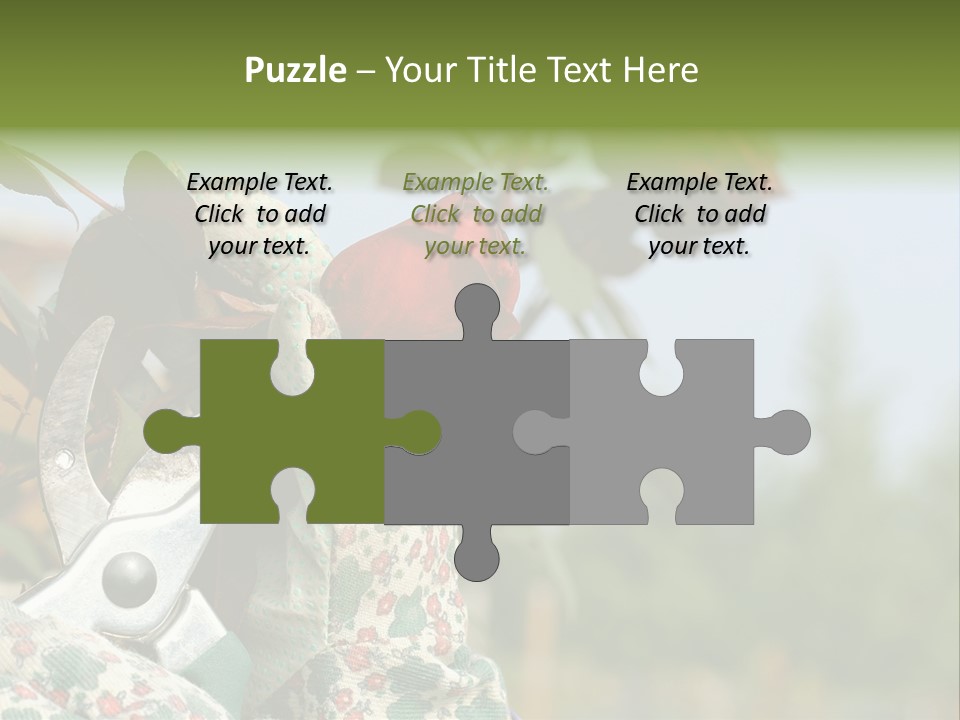 Rose Prune Red PowerPoint Template