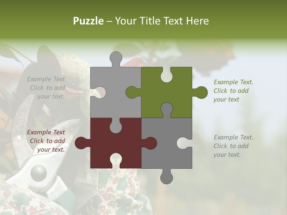 Rose Prune Red PowerPoint Template