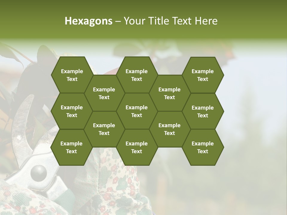 Rose Prune Red PowerPoint Template